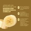 Acondicionador-Con-Banano-Anyeluz