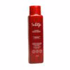Shampoo-Camelia-Silvestre-Pa-Pelo-Mixto-Fruto-Salvaje