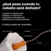 Tratamiento Sérum con Enjuague Absolut Repair Molecular Loreal Professionnel