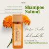 Shampoo Caída Cabello Pilostrong Magic Hair